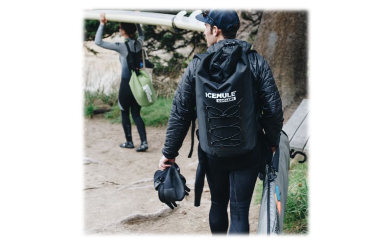Icemule pro insulated hot sale backpack cooler bag