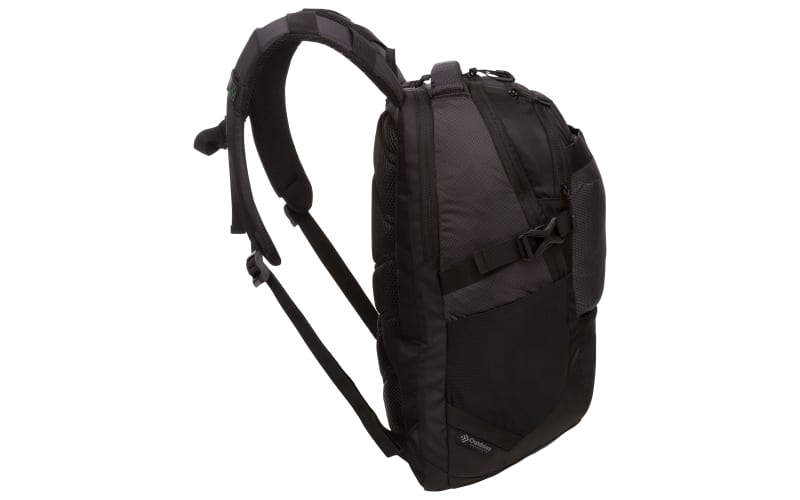 The north face rainer backpack new arrivals