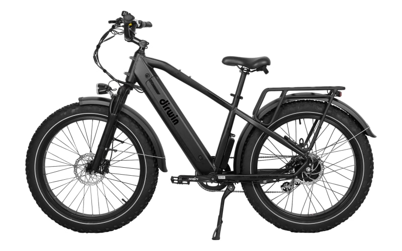 Dirwin Pioneer Fat Tire Electric Bike