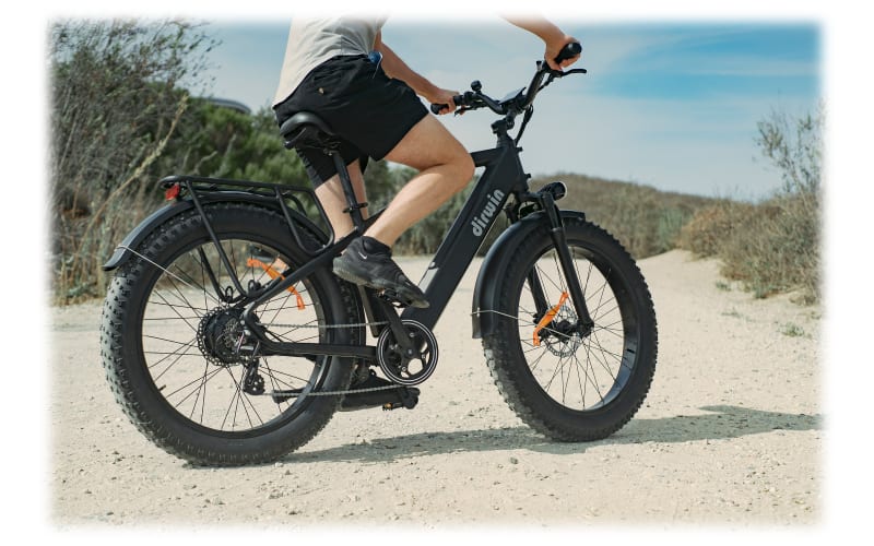 Bass pro shops online electric bikes