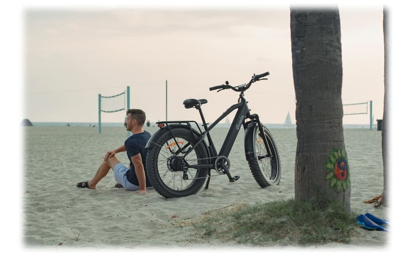 Bass pro hot sale electric bike