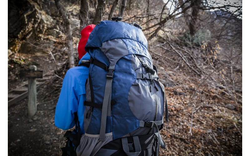 TETON Sports Outfitter 4600 Backpack Cabela s