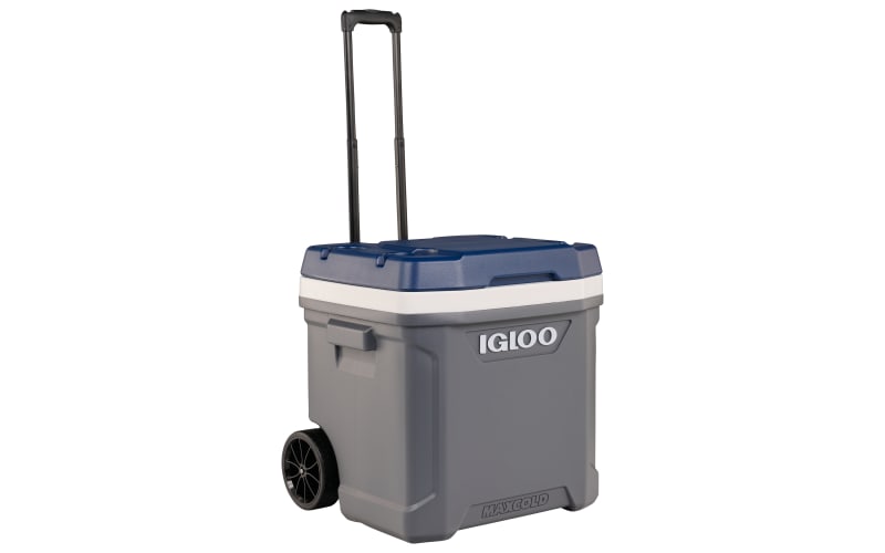 Igloo maxcold roller 2025