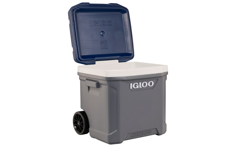 Igloo cooler 2025 62 qt