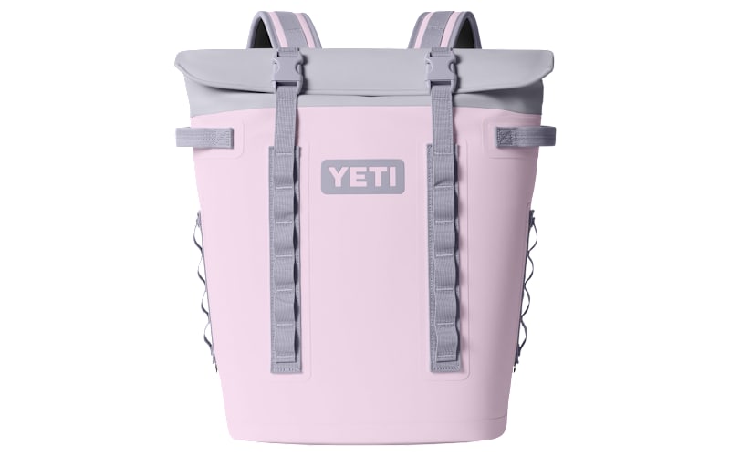 cherryblossom1_101558843_main?