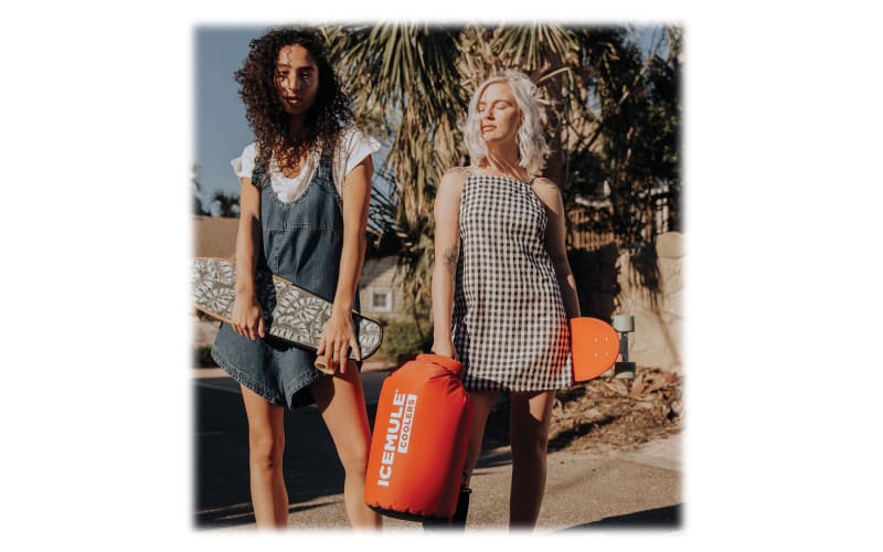 ICEMULE Classic Medium 15L Cooler Cabela s