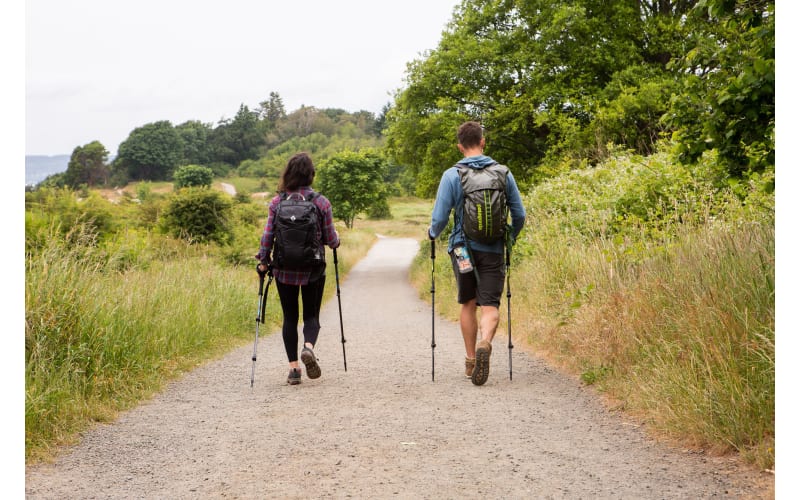 Cascade Mountain Tech Carbon Fiber Quick Lock Trekking Poles with Cork Grip