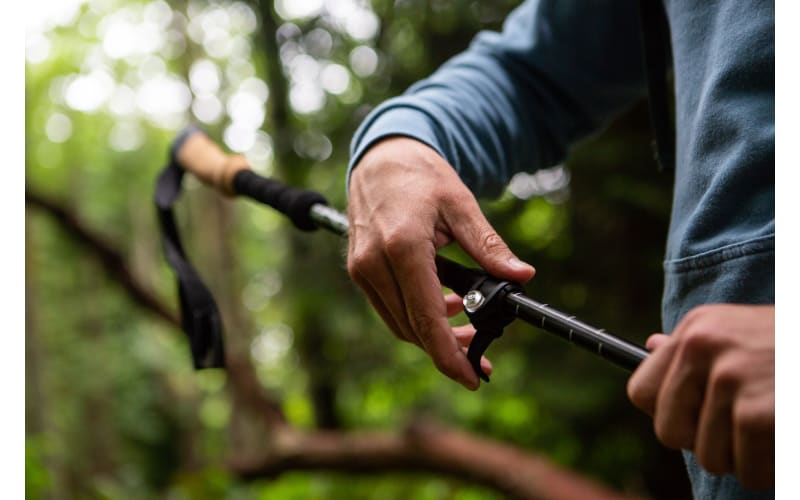 Cascade walking sticks deals