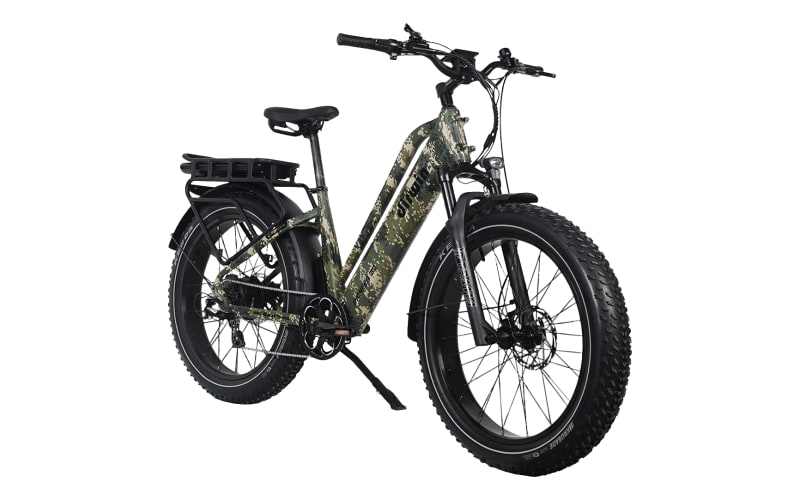 Dirwin Pioneer Plus Fat Tire All Terrain Electric Bike