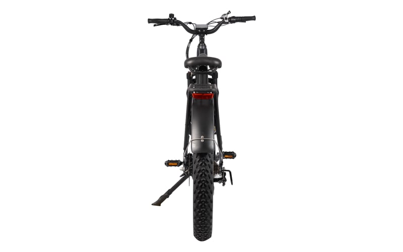 Dirwin Pioneer Fat Tire Electric Bike with Step Through Frame
