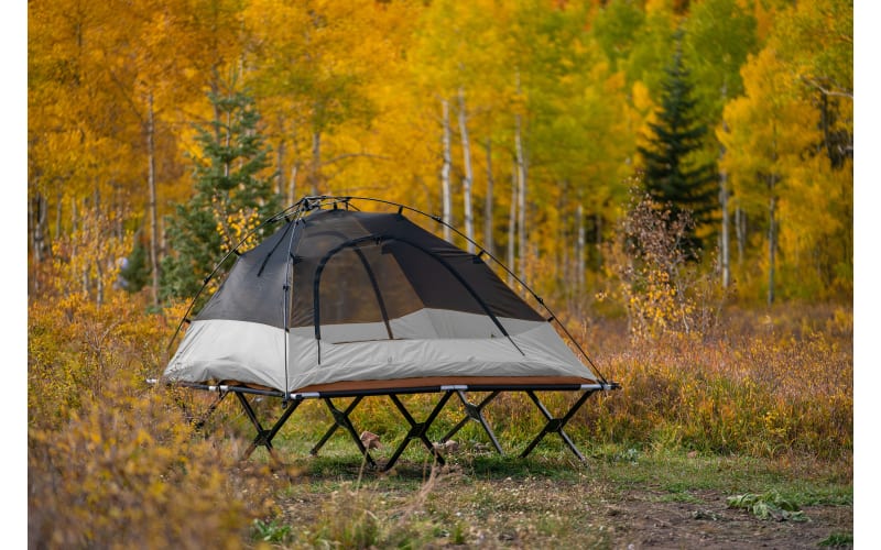Cabelas cot tent on sale