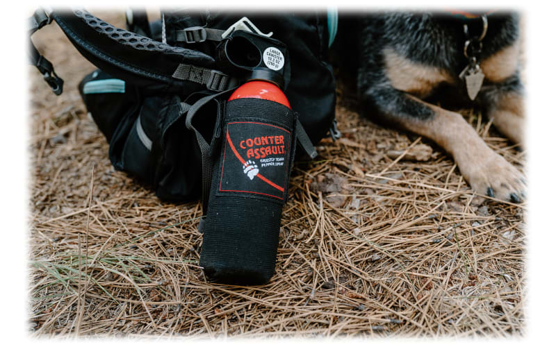 Counter Assault 10.2-oz. Bear Deterrent Spray with Holster ...
