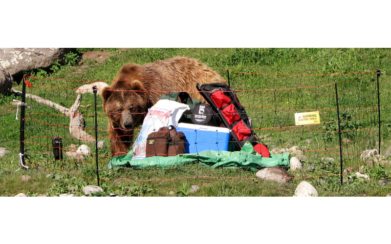 Cabelas invisible fence sale