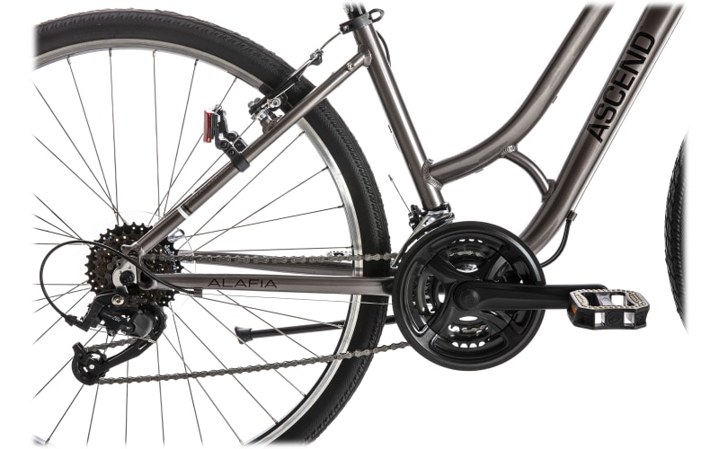 Hybrid bike 300 pounds 2025