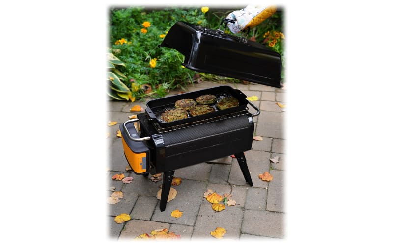 BioLite FirePit Wood and Charcoal Burning Fire Pit Cabela s