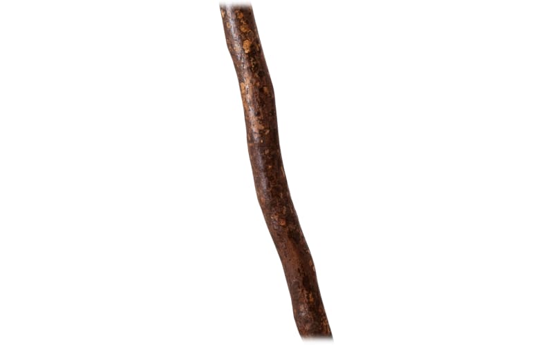 Bass pro shop walking stick hotsell