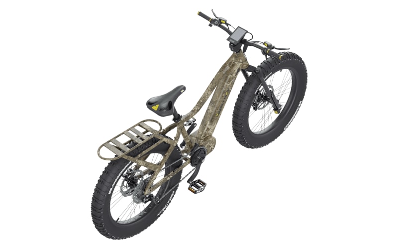 Bass pro electric bike top