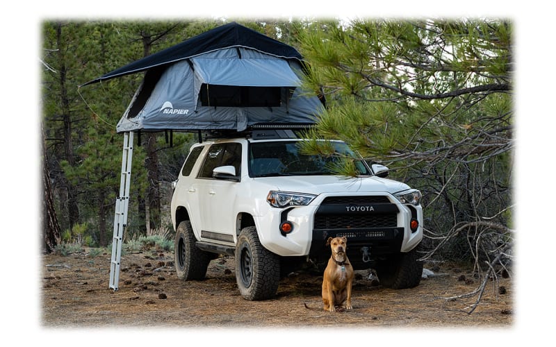 Napier 2 Person Rooftop Tent Cabela s