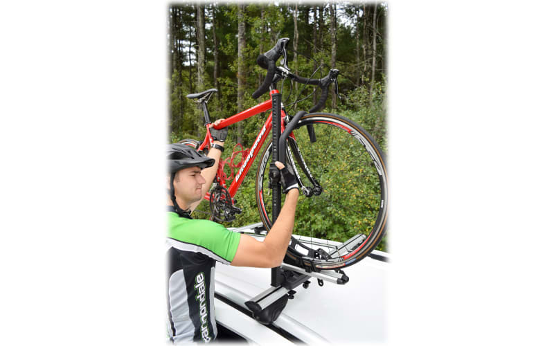 Bass pro shop bike rack deals