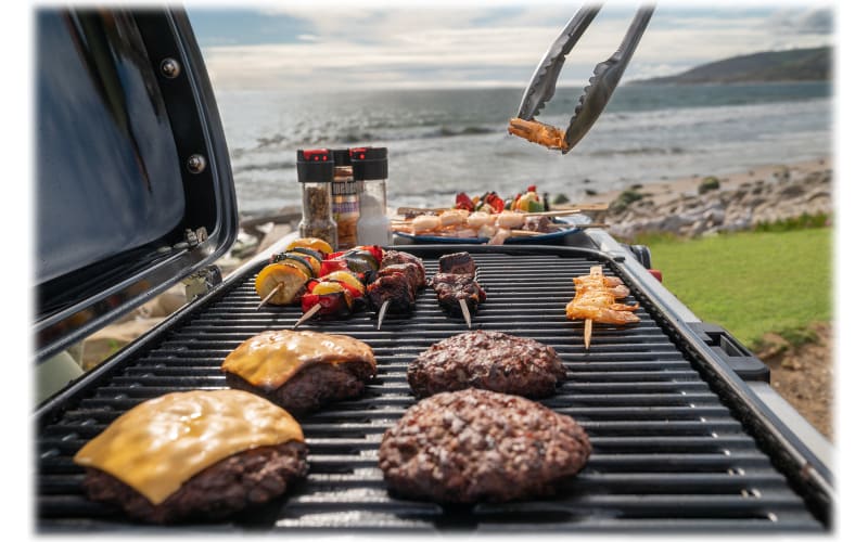 Weber 9010001 Traveler Portable Grill