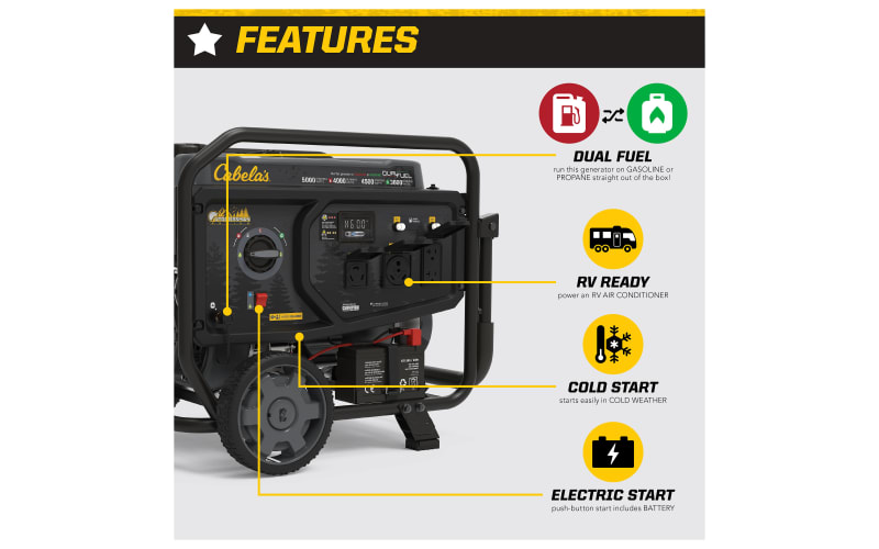 4000 watt dual fuel generator sale