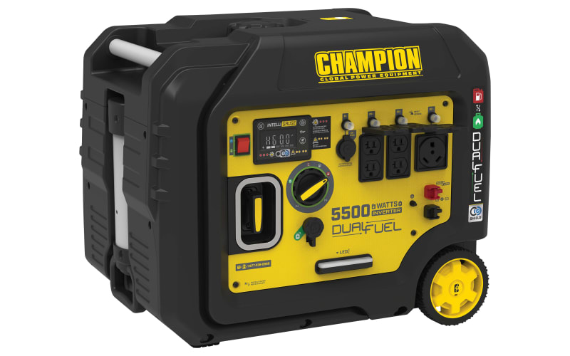 Champion 5000 watt dual fuel hot sale generator