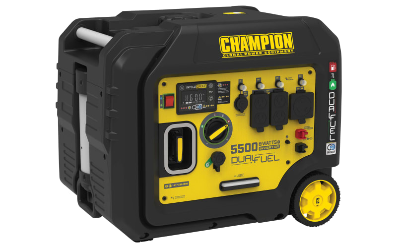 Champion Power Equipment 5500W Electric-Start Dual-Fuel Portable