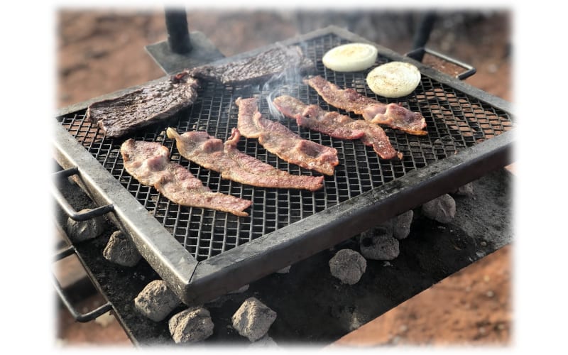 Bass pro shop grills outlet
