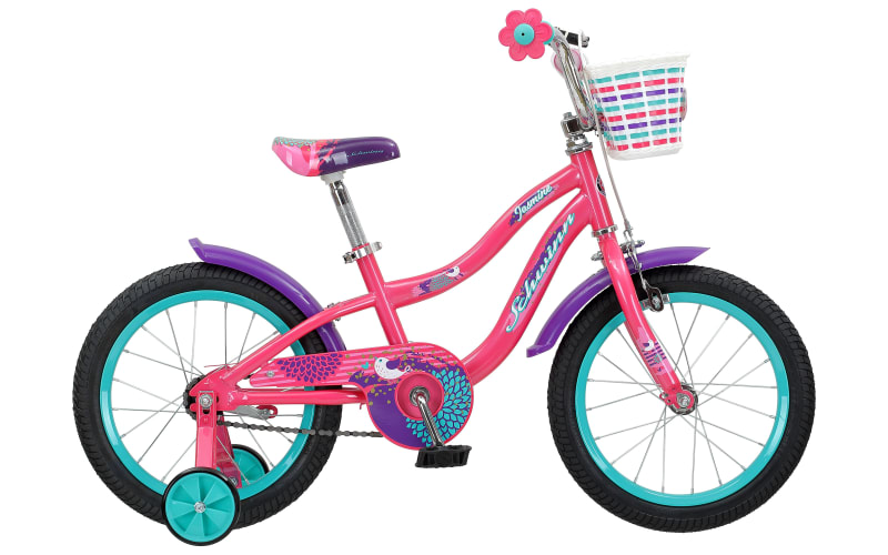 Schwinn kids best sale bike