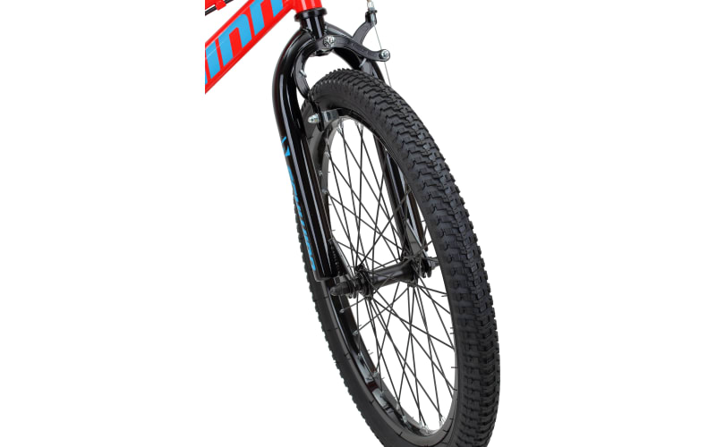 Schwinn twister 20 store