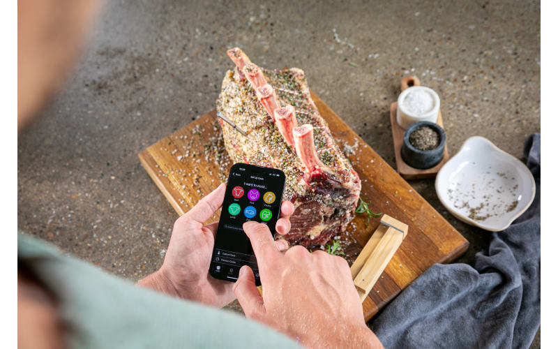 Traeger MEATER Pro Wireless Meat Thermometer | Bass Pro Shops