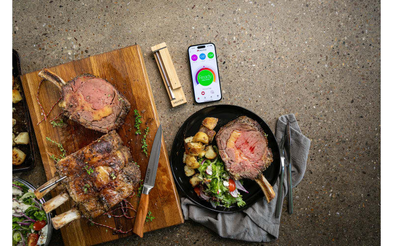 Traeger MEATER Pro Wireless Meat Thermometer | Bass Pro Shops
