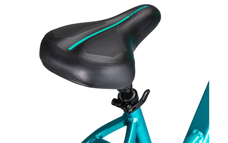 Schwinn bike online frame