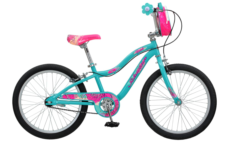 Schwinn mist sales