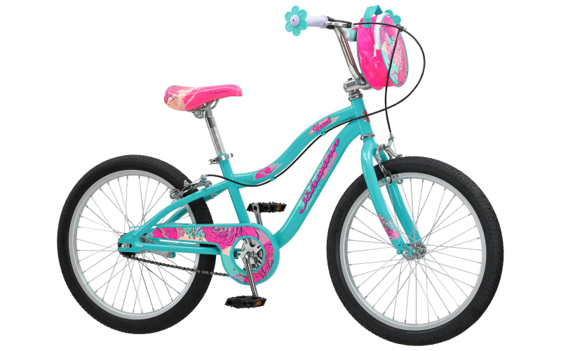 Schwinn girls best sale bicycle