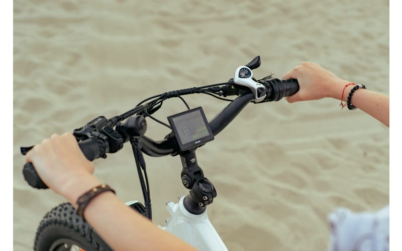Dirwin Pioneer Fat Tire Electric Bike with Step Through Frame Bass Pro Shops
