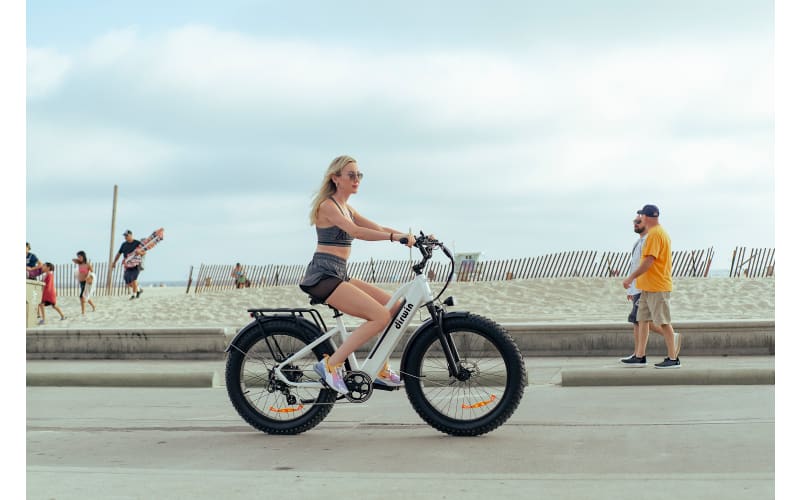 Dirwin Pioneer Fat Tire Electric Bike with Step Through Frame Bass Pro Shops