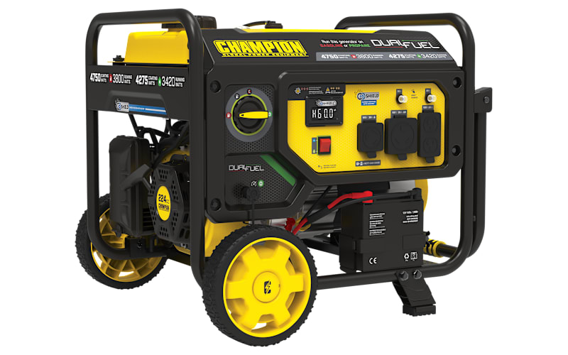 Champion Power Equipment 3,800W Electric-Start Dual-Fuel Portable
