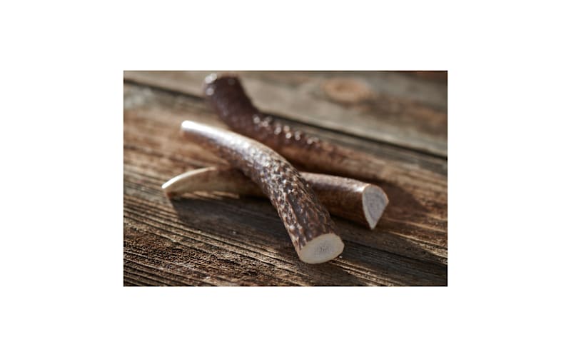 Buck Bone® Organics Elk Antler Chews Bass Pro Shops Canada