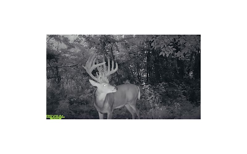 Tactacam™ REVEAL X Gen Cellular Trail Camera Combo Bass Pro