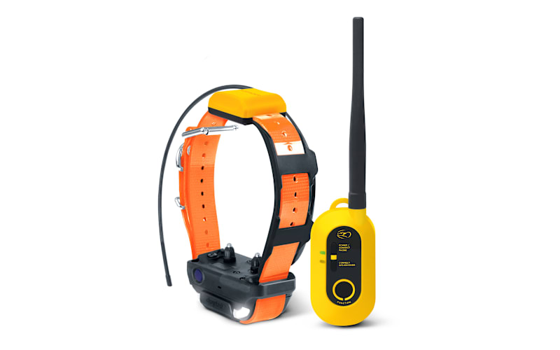 Dogtra™ PATHFINDER2 GPS Dog Tracking Collar Bass Pro Shops Canada