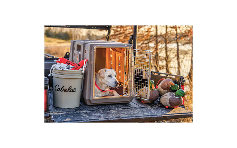 Cabela's® GunDog Intermediate Dog Kennel Bass Pro Shops Canada