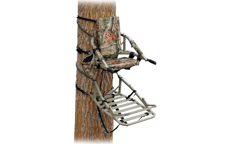 393318-320170_main?pgw=1