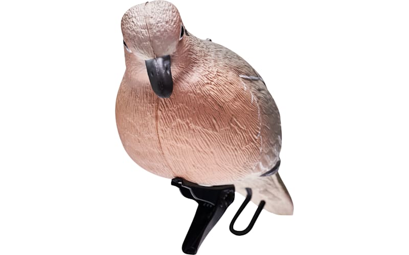  バード　 Dove Cabela's® Oversized Dove Decoy 4-Pack | Bass Pro Shops Canada