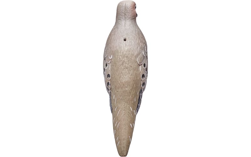  バード　 Dove Gibson Doves In Flight - Antique Natural | Long & McQuade