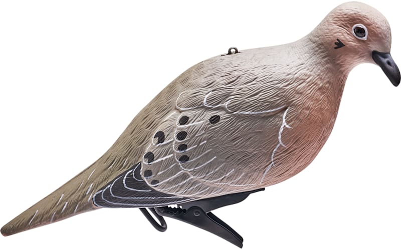 Cabela's® Oversized Dove Decoy 4-Pack | Bass Pro Shops Canada