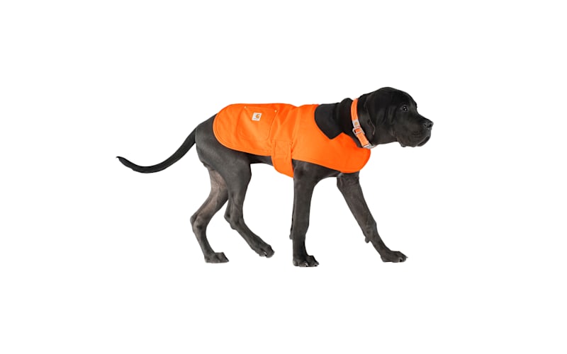 Carhartt® Firm Duck Insulated Dog Chore Coat | Bass Pro Shops Canada