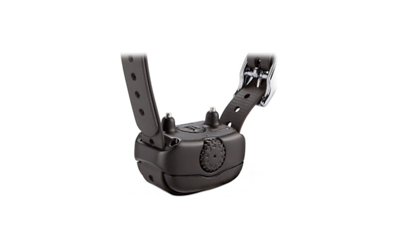 Garmin® BarkLimiter™ Deluxe Dog Collar Bass Pro Shops Canada