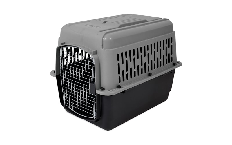 Petmate Pet Porter Bass Pro Shops Canada