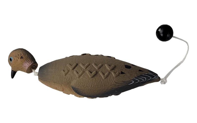 AVE0200MourningDove_main?pgw=1